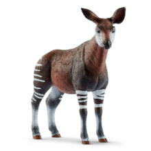 Okapi